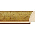 Rama Cod: 3102/01