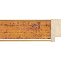 Modelul de rama, avand codul 3301/24, are latimea de 3,3cm.