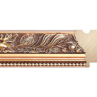 Modelul de rama, avand codul 6005/00, are latimea de 6,0cm.